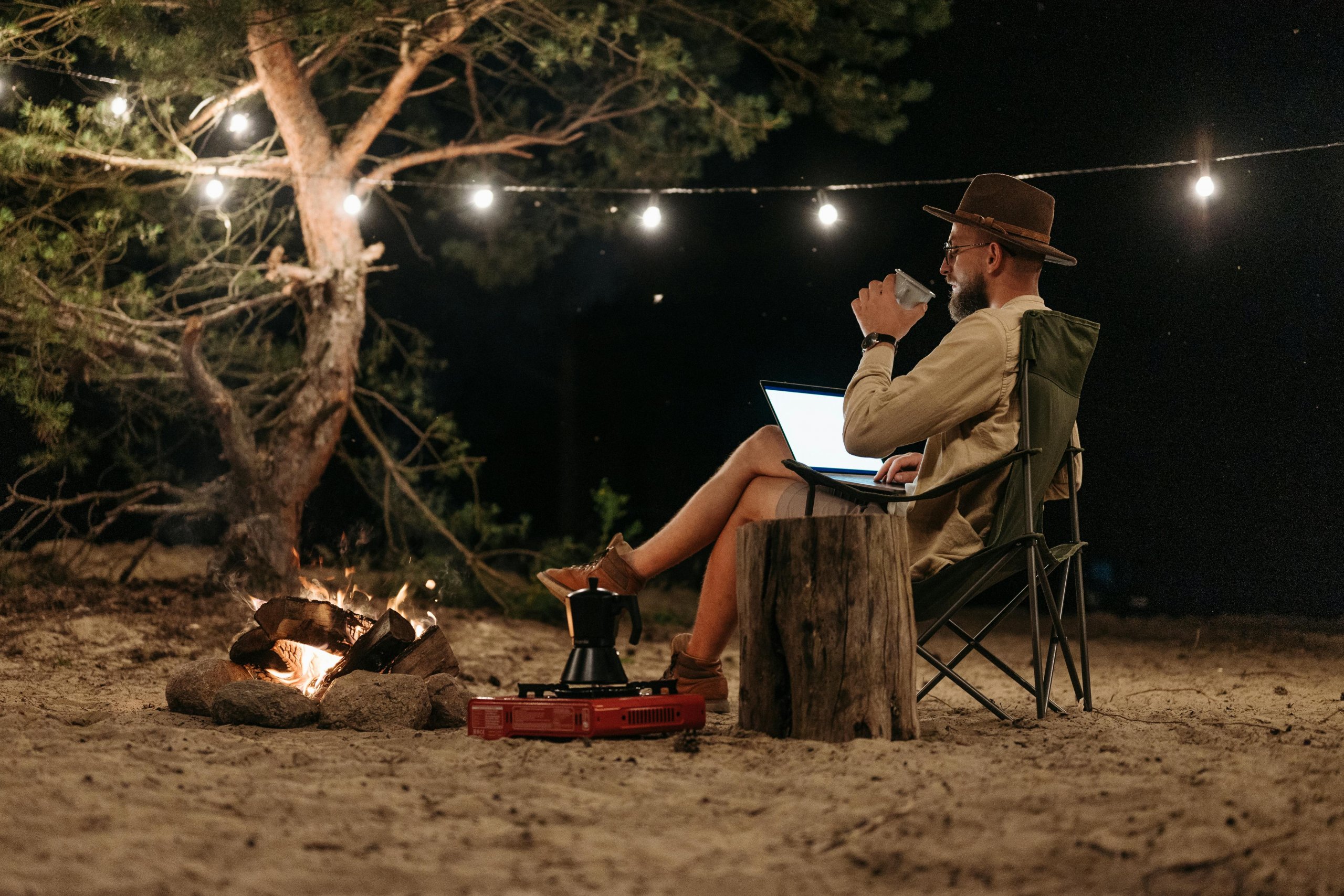 laptop-forest